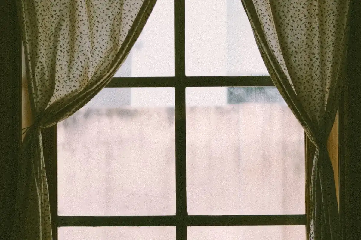Suicide Cleanup in Anthony, NM
